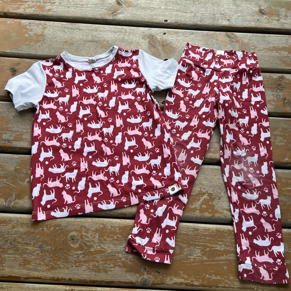 Bumblito 2 Piece Matching Leggings and Short Sleeve Cat Print Top - Size 5/6